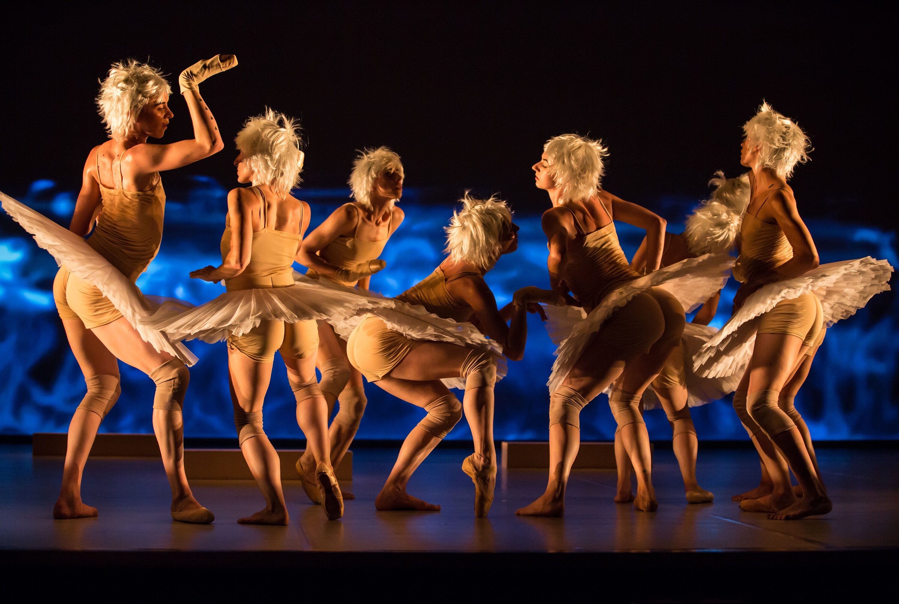 Swan Lakes