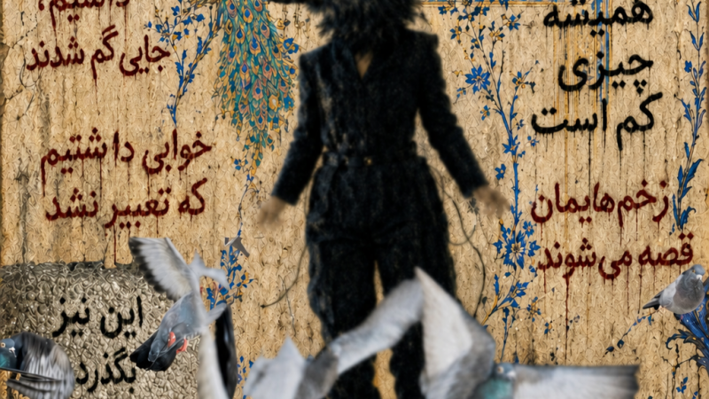 Language of the Birds